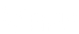 firebird-prints-white-logo
